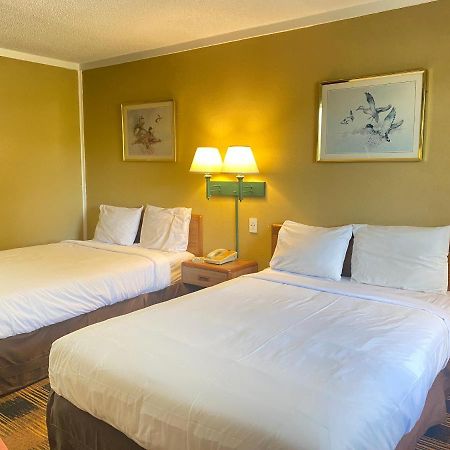 Smokies Inn - New Linens & Ultrafast Wifi - Friendliest Hospitality Guaranteed! Kodak Dış mekan fotoğraf
